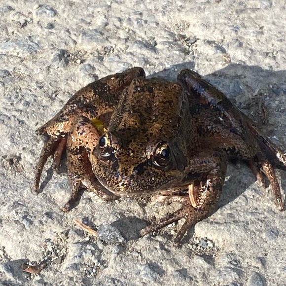 Meet your Posher, Aidan - Picture 1 of 1